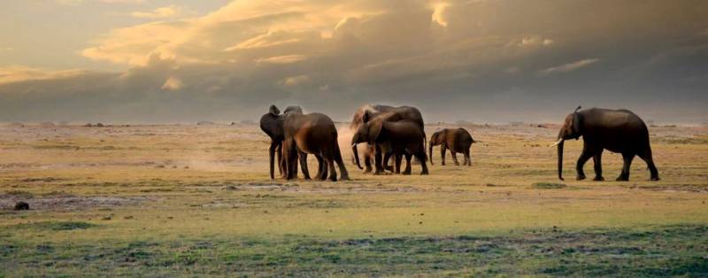 14 Days Kenya - Go South Tour Image