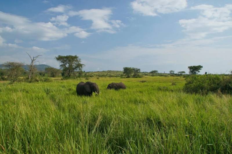 16 Days Safari - All Pearls Of Uganda Tour