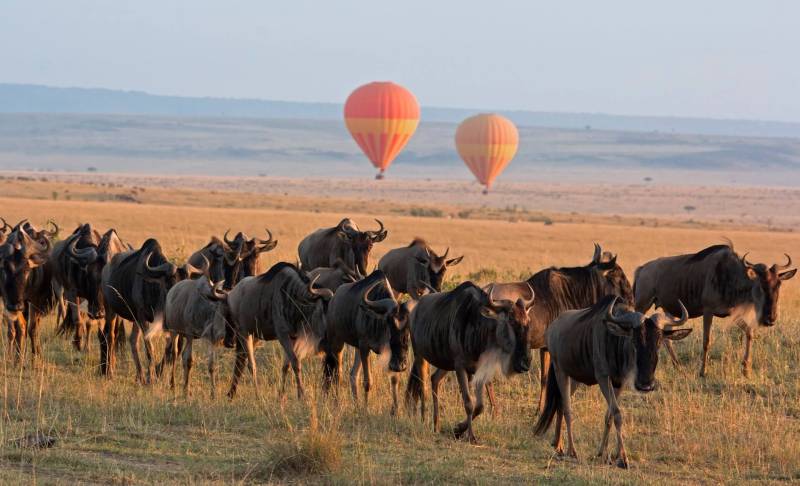 5 Days Tanzania Cultural & Wildlife Safari
