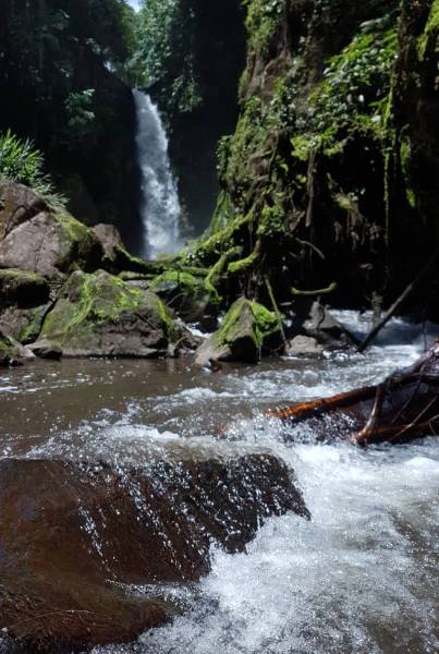 5 Days Tanzania Cultural & Wildlife Safari