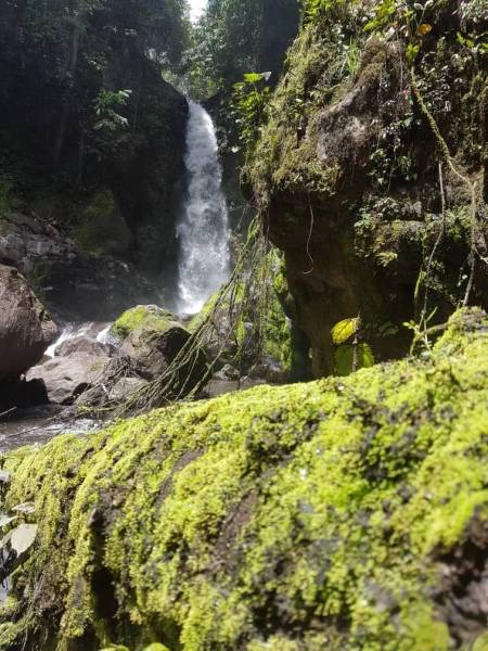 5 Days Tanzania Cultural & Wildlife Safari