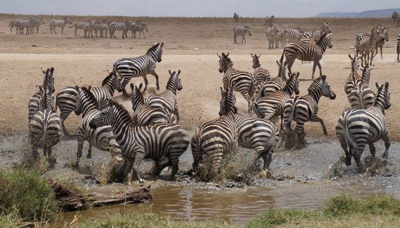 2 Days Tanzania Safari – Tarangire & Ngorongoro Crater Image