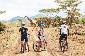🗺️ 4-Day Safari + Biking Itinerary Image