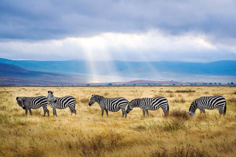 day trip to Ngorongoro Crater Image