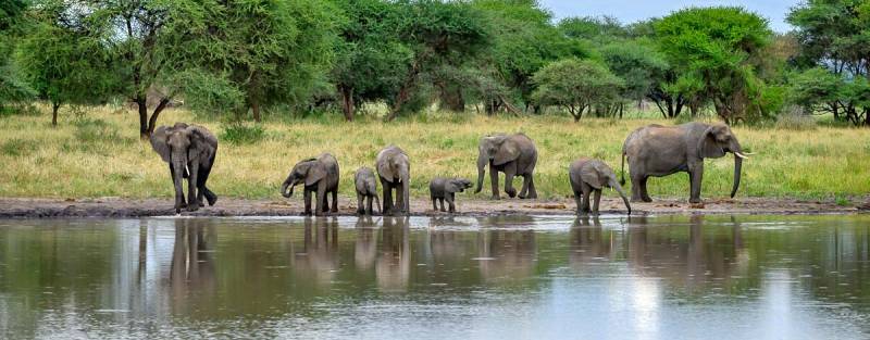 10 Days Tanzania Classic Safari