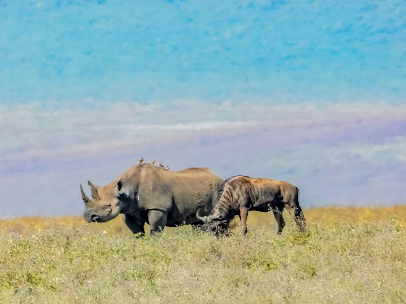 6-Day Tanzania Memorable Adventure Fly out to Zanzibar Image