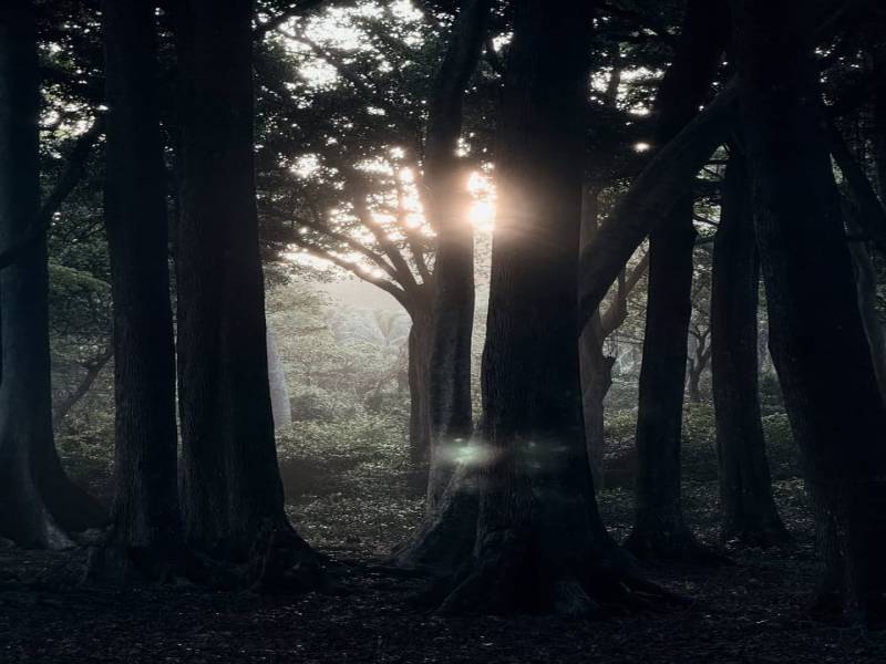 Aniversary Gift Andaman Tour