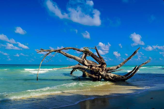 Aniversary Gift Andaman Tour