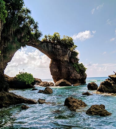 Aniversary Gift Andaman Tour