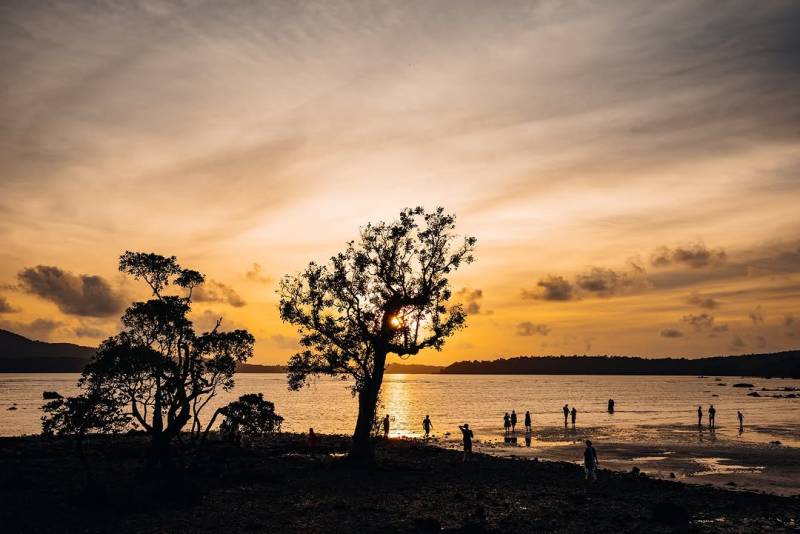 Aniversary Gift Andaman Tour