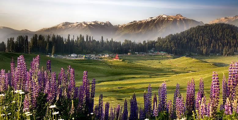 Kashmir Tour Image