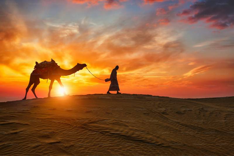 Discover Rajasthan: Explore Majestic Palaces, Timeless Forts & Golden Desert Adventure