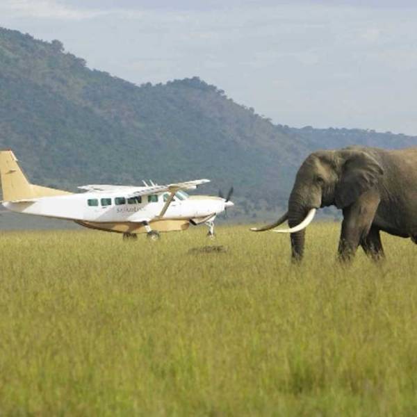 9 Days Flying Safari Tour
