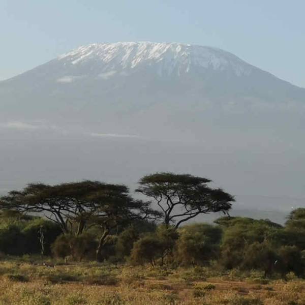 7 Days Kilimanjaro Climbing Umbwe Route Tour Image