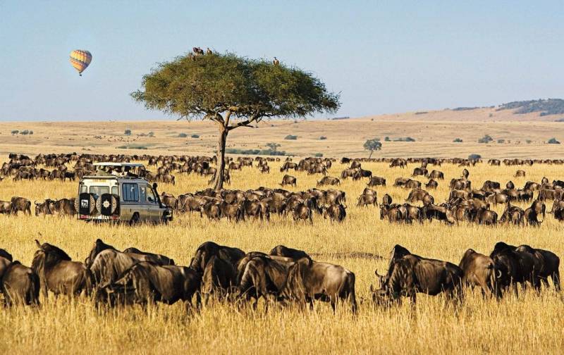 3 Days Masai Mara Safari From Nairobi