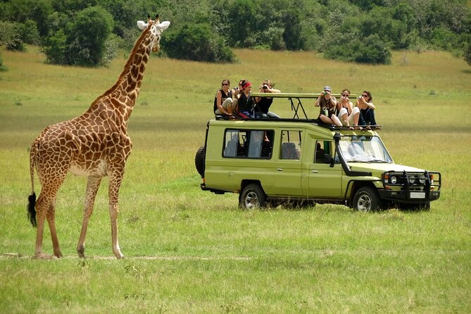 3 Days Masai Mara Safari From Nairobi