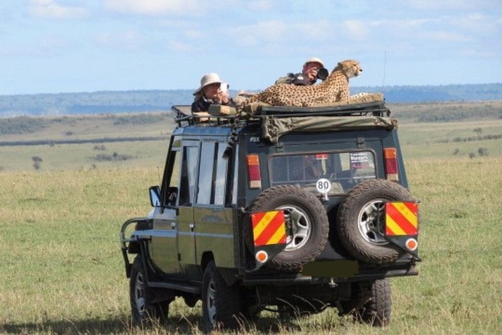 3 Days Masai Mara Safari From Nairobi