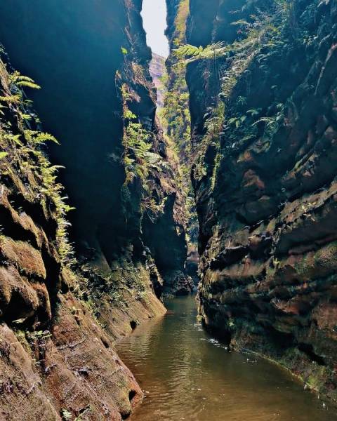 3 Days 2 Nights Delhi to Pachmarhi