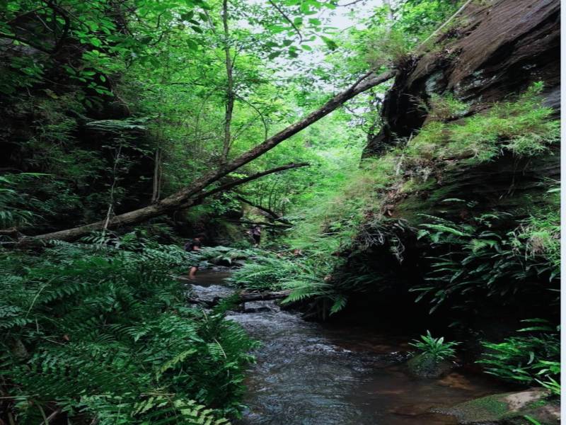 3 Days 2 Nights Delhi to Pachmarhi