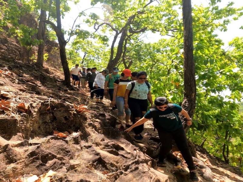 3 Days 2 Nights Delhi to Pachmarhi Image