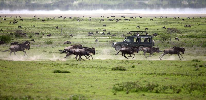 5 Days Big Five Safari