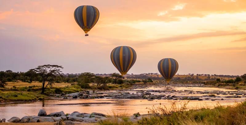 5 Day Fly-In And Drive Out Serengeti Safari Tour