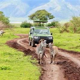 3D Luxury Fly-In Safari From Zanzibar - Big Five In Tarangire - Ngorongoro - Manyara
