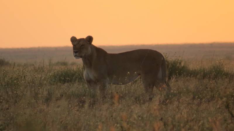 2 Nights - 3 Days - Tarangire/ Ngorongoro Crter/ Manara Park Image