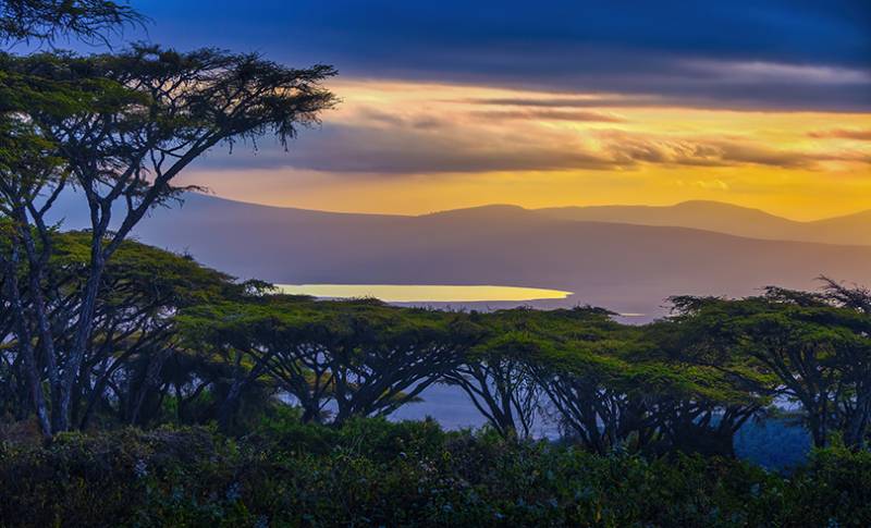 10 nights 11 Days Serengeti Special - 5* Accommodations Image