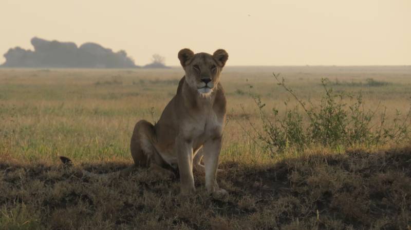 11 Nights 12 Days - River Crossing & Zanzibar