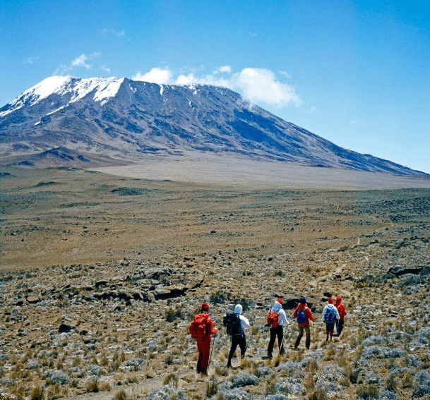 Kilimanjaro - Lemosho Route - 8 Days Tour Image
