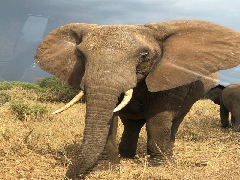 Kenya And Northern Tanzania Best Tour Image