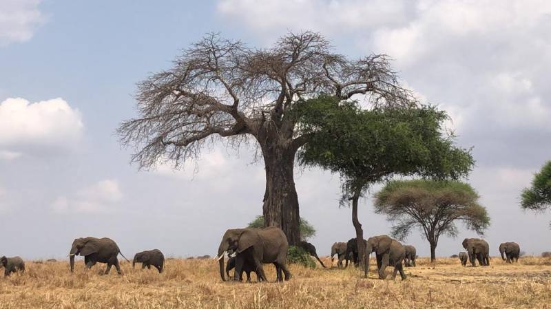 5 Days Northern Tanzania - Ngorongoro - Serengeti Tout Image