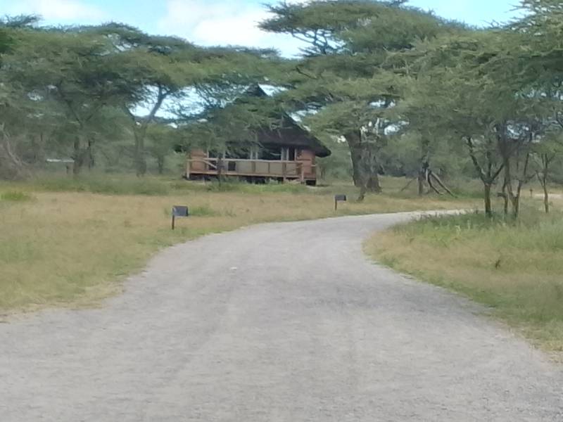 12 Nights 13 Days Northern Tanzania Including Lake Victoria Tour Image