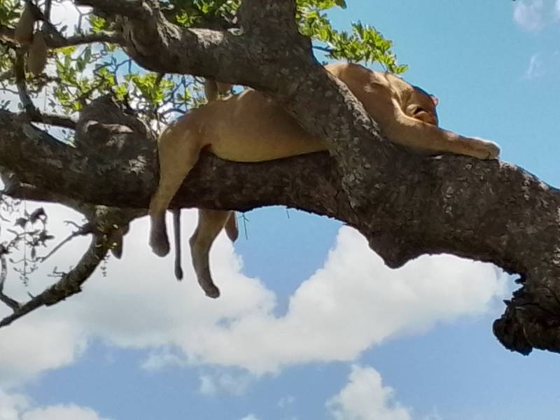 7 Nights - 8 Days Eastern Tanzania Package Image