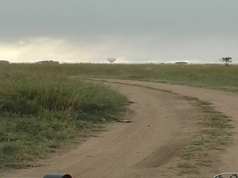 14 Days 13 Night Safari And Pangani Beach Tour Image