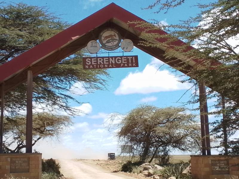 9 Nights 10 Days Serengeti And Zanzibar Tour Image