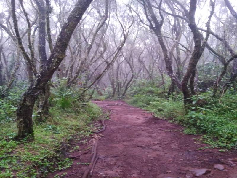 Marangu Route – 6 Days