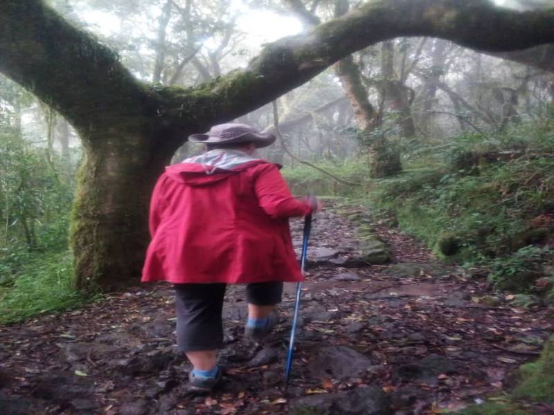 Marangu Route – 6 Days