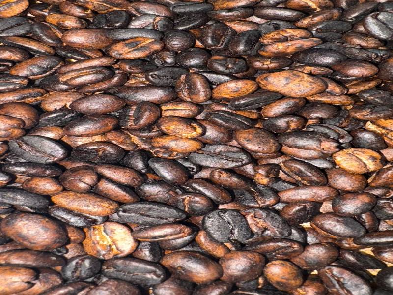 Materuni Waterfall Day Trip