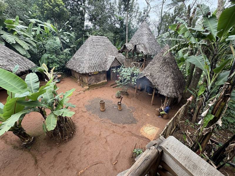 Materuni Waterfall Day Trip