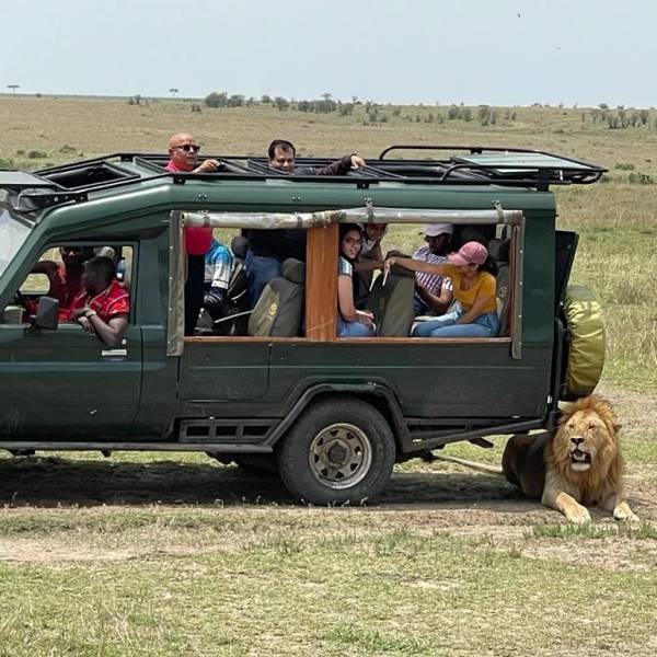 4 Days Lake Nakuru/Masai Mara 4x4 Budget Private Safari