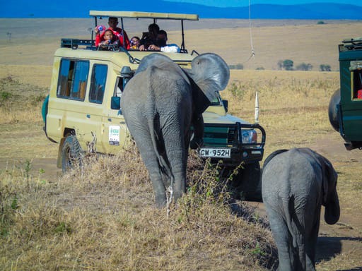 4 Days Lake Nakuru/Masai Mara 4x4 Budget Private Safari