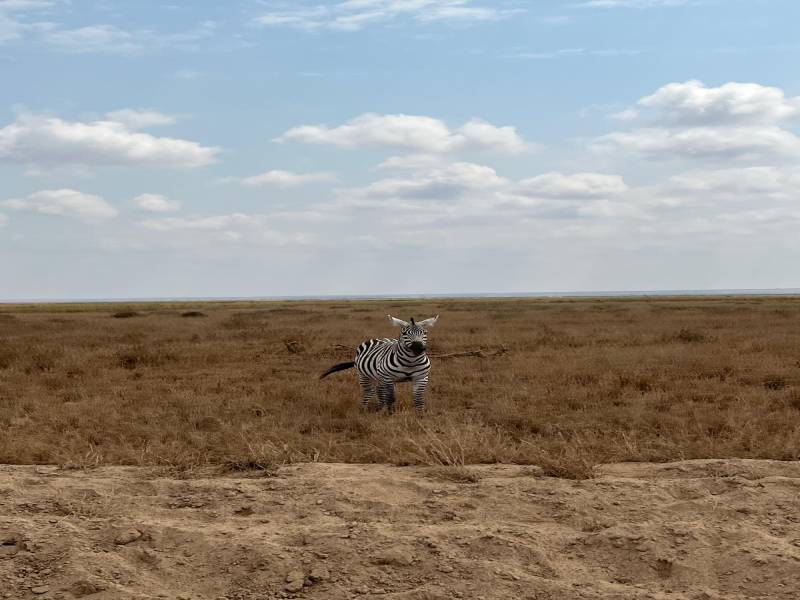 5 Day Tsavo Safari and Beach Holiday