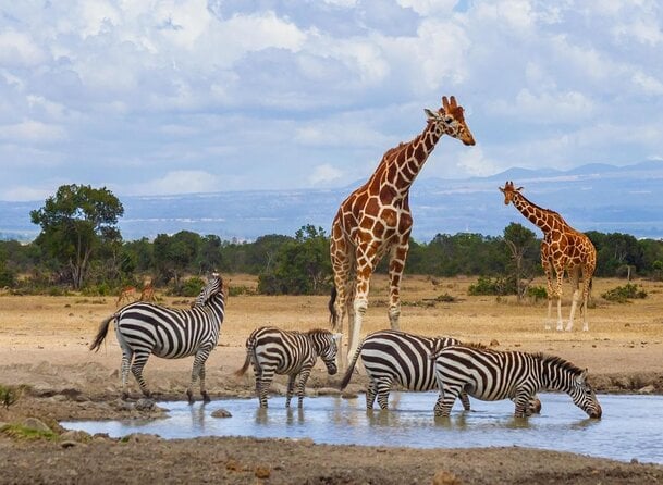 12-Day Tanzania Safari And Zanzibar Tour