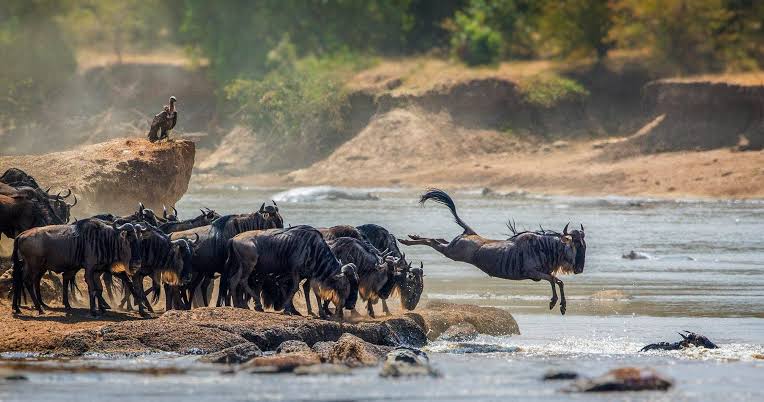 3 Days Seregenti And Ngorongoro Safari