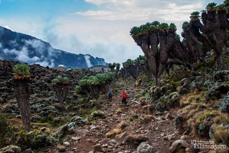 Shadows Of Kilimanjaro Tour