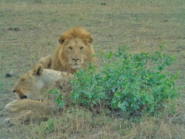 Northern Paradise Plus Tour