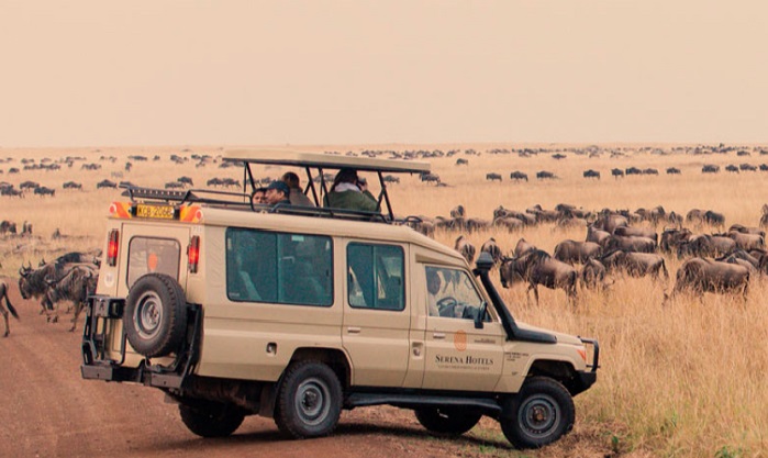 3 DAYS 2 NIGHTS MAASAI MARA SAFARI