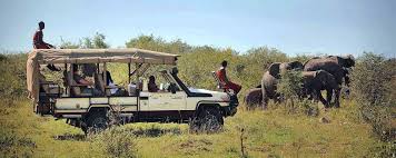 3 DAYS 2 NIGHTS MAASAI MARA SAFARI